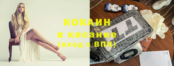 гашик Аркадак