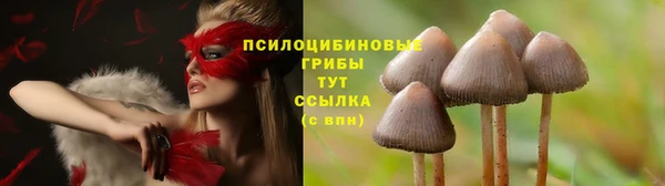 прущая мука Абаза