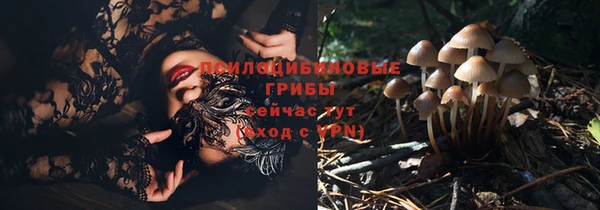гидропоника Алексеевка