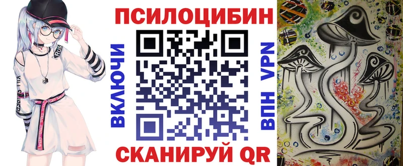 Галлюциногенные грибы Magic Shrooms  купить   Тогучин 